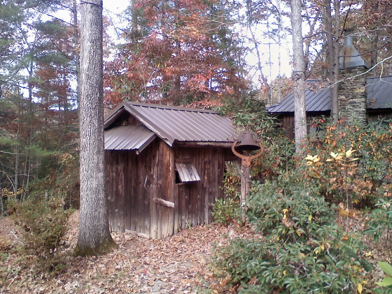 Small metal roof on a rough sawn shed in the woods in Harveys Lake